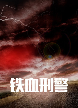 铁血刑警第12集