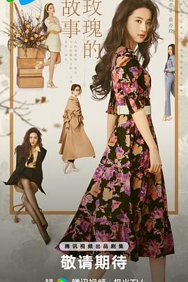 玫瑰的故事第33集