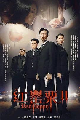 红罂粟2第21集