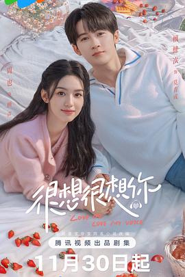 很想很想你第24集