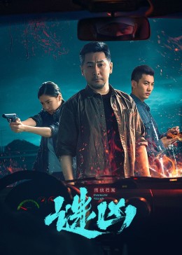 刑侦档案·谜凶第5集